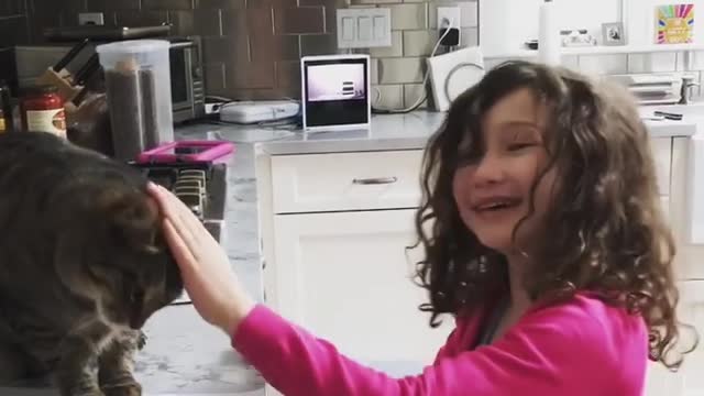 Cat and little girl share sweet moment on camera