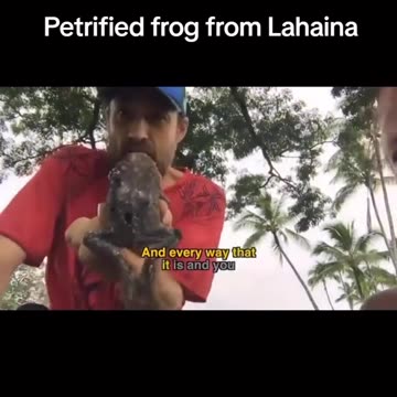 PETRIFIED TOAD FROM LAHAINA