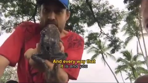 PETRIFIED TOAD FROM LAHAINA