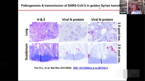 郑志明【SARS-CoV-2 病毒感染与复制】