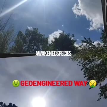 What's real and what's not?