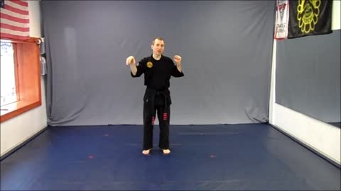 Basic Skillz Red Belt - Green Stripe