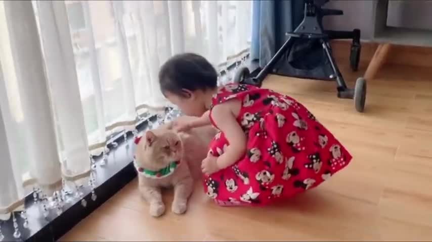 Little Girl Bonding With Her Cat Will Bring You Joy