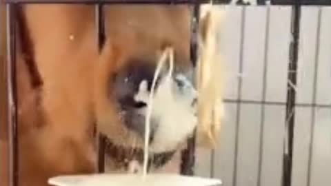 help you