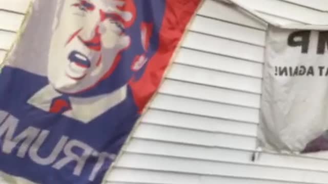 Daddy English reggae in the city