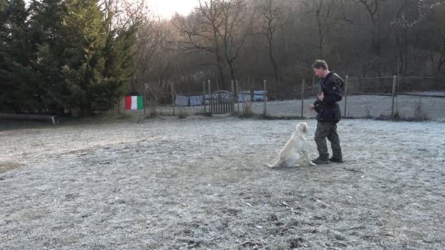 Anche Artemide vuole insegnarci come si consegna bene