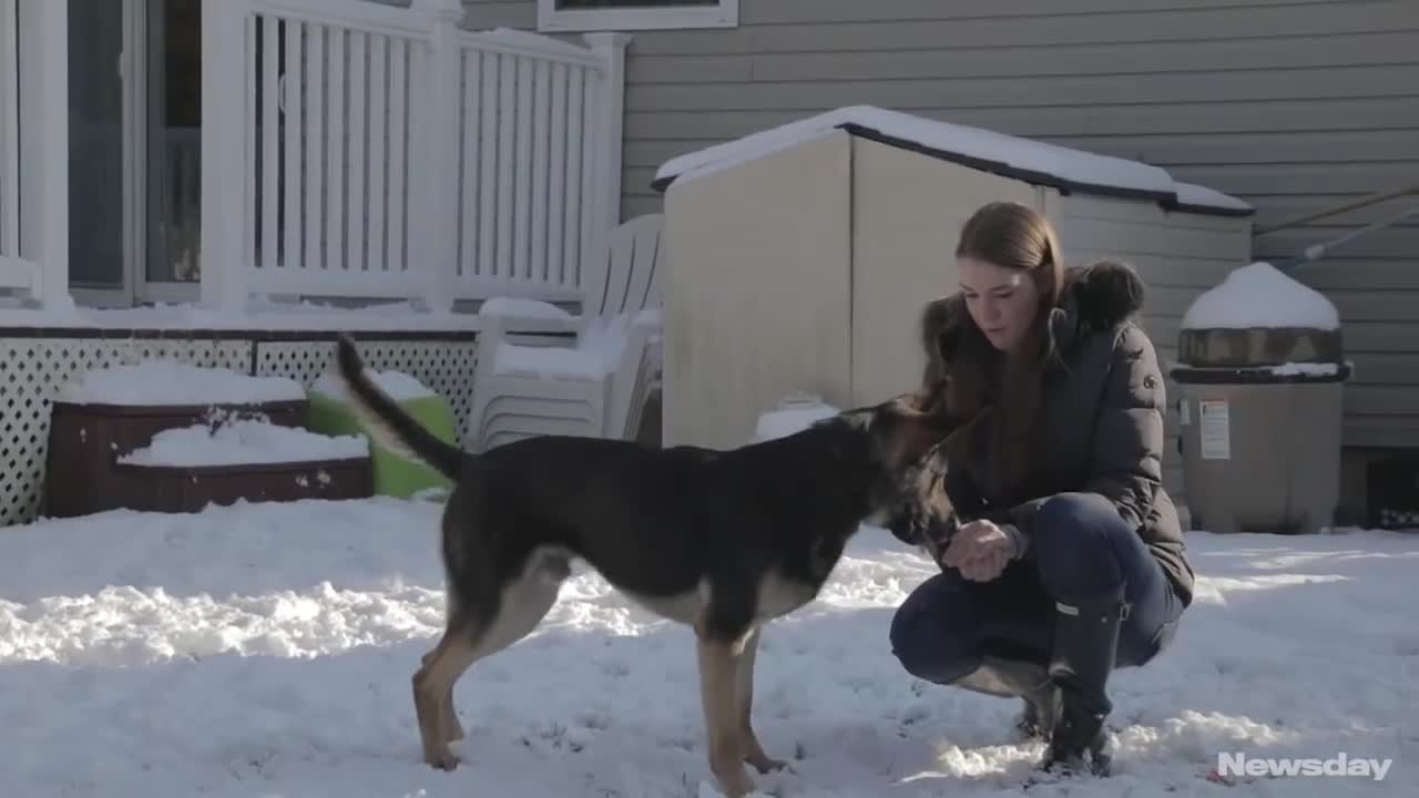 best police dog training