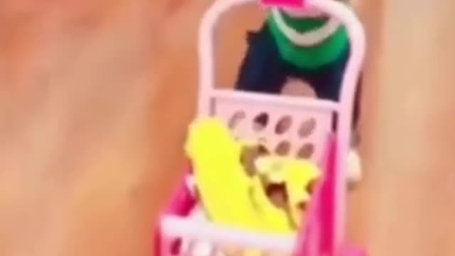 🐶😹 Funny & Talented Pets 🐶 Funny Videos #pet #animal #kid