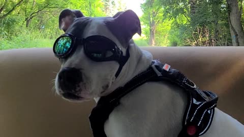 Rena out for a Jeep ride