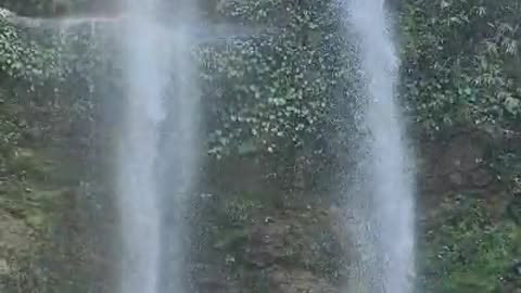 Indian forest || beautiful waterfall