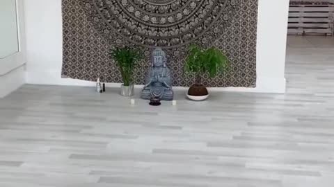 Yoga Studio