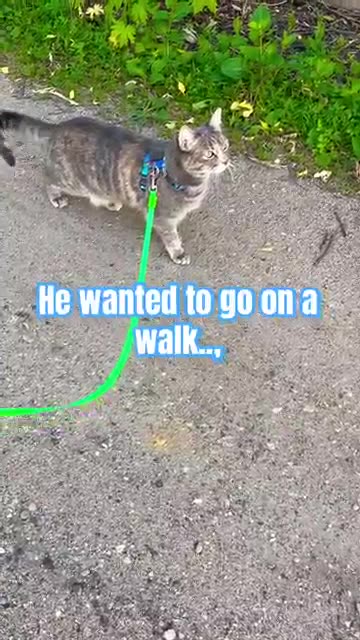 Ralphie's Epic Fail At A Summer Job