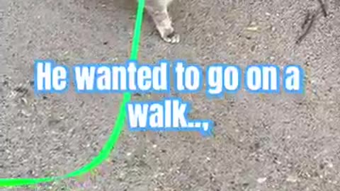Ralphie's Epic Fail At A Summer Job