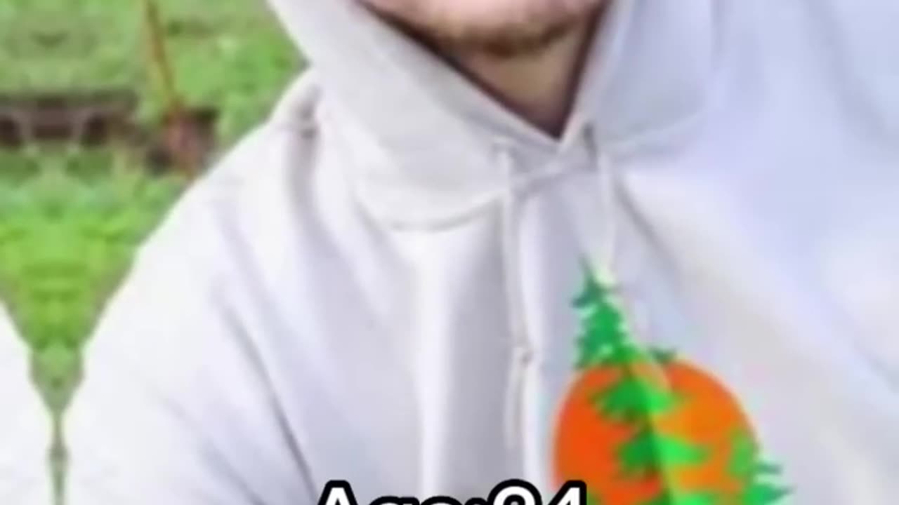 Mr beast