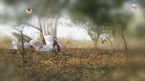 Al-Qassam Brigades and Martyr Omar Al-Qasim Forces striking Zionist enemy concentrations on the Netzarim axis, Gaza, occupied Palestine, 12 Nov 2024