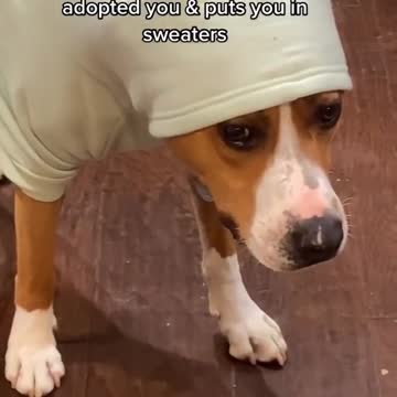 fashion school perks