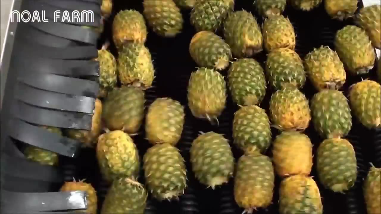 Satisfying Juice Fruit Processing Modern Technology - Lemon Tipus Pineapple Juice Processing