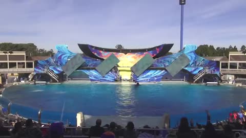 Shamu Show at SeaWorld - Full Video