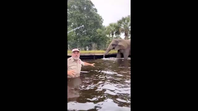 Man And Elephant Feel Happy In The Water