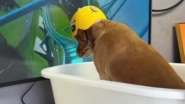 This should be viralThis should be viral