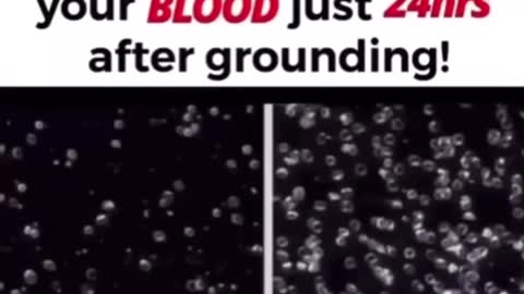 Grounding and the importance