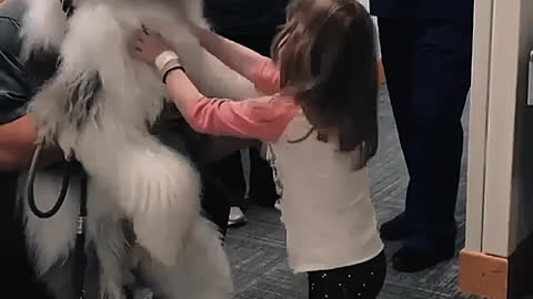 What a big dog
