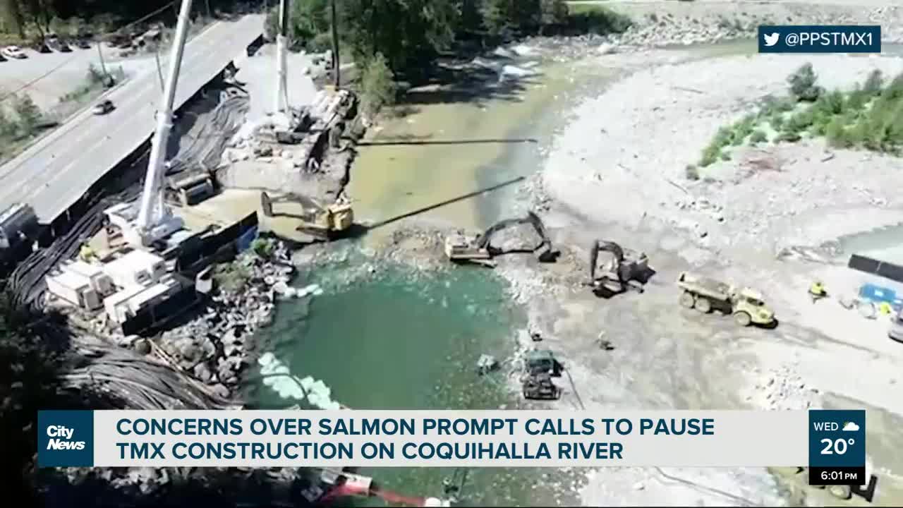 Concerns raised about TMX work during salmon spawn
