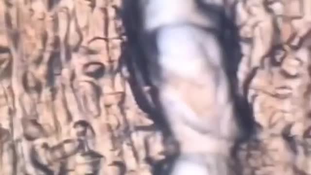View from the camera of 1000 times of scientists