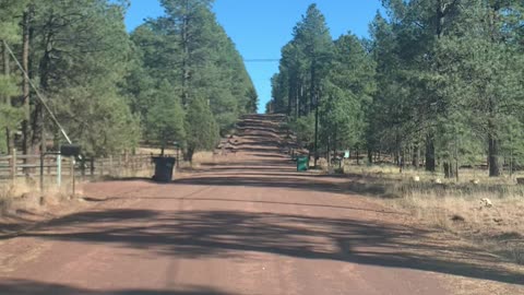 The drive out
