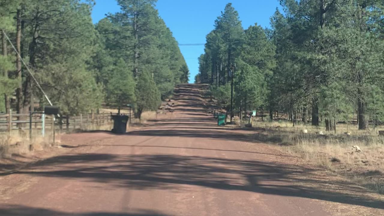The drive out