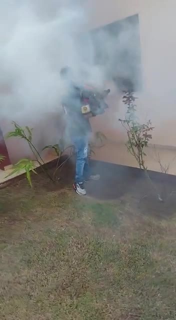 Prevenção contra mosquito