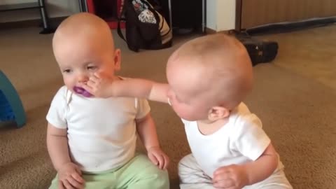 Funny twins video