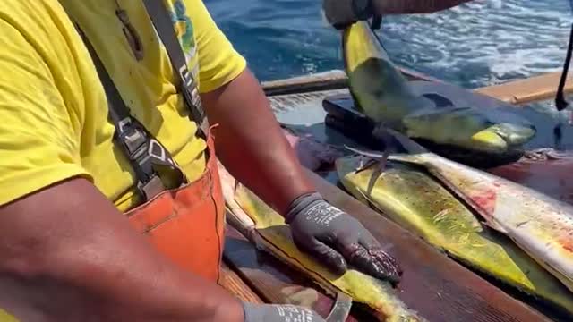 Cooking an fish meddle on the ocean