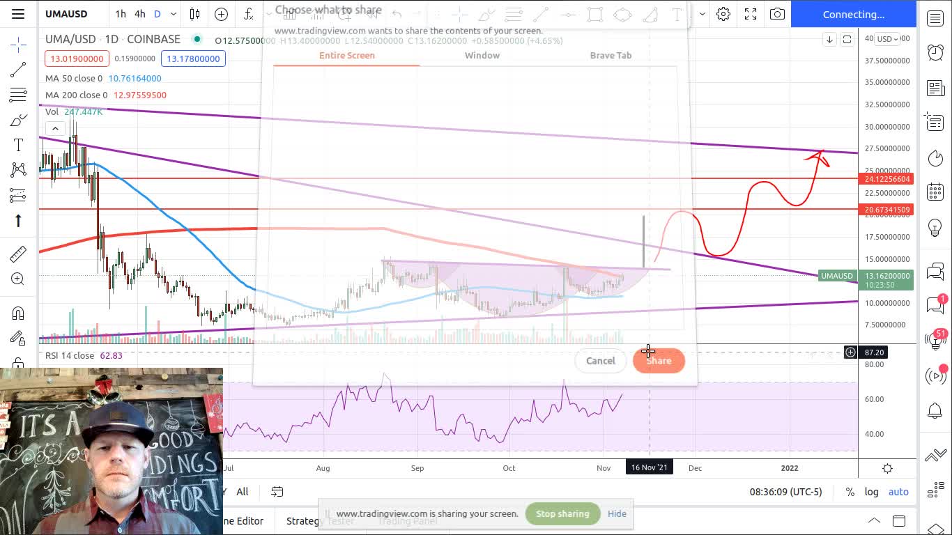 UMAUSD-Final-Target-28-Technical-Analysis-Patterns-Levels