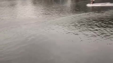 Guy Biffs it Trying New Water Rail