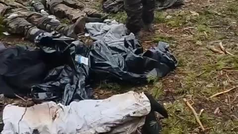 18+ Dead Ukronazis In Donetsk