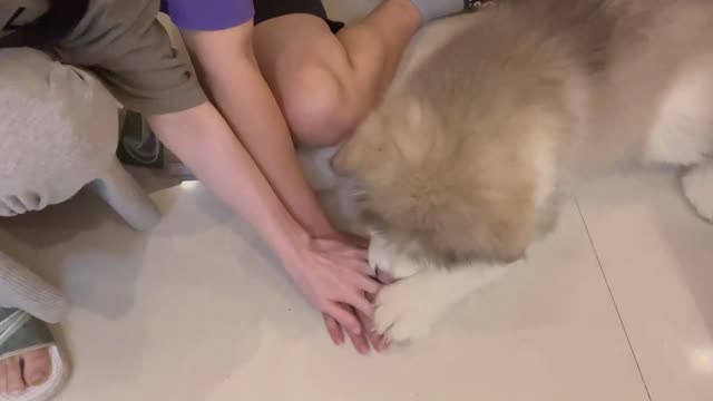 What colour are your hands