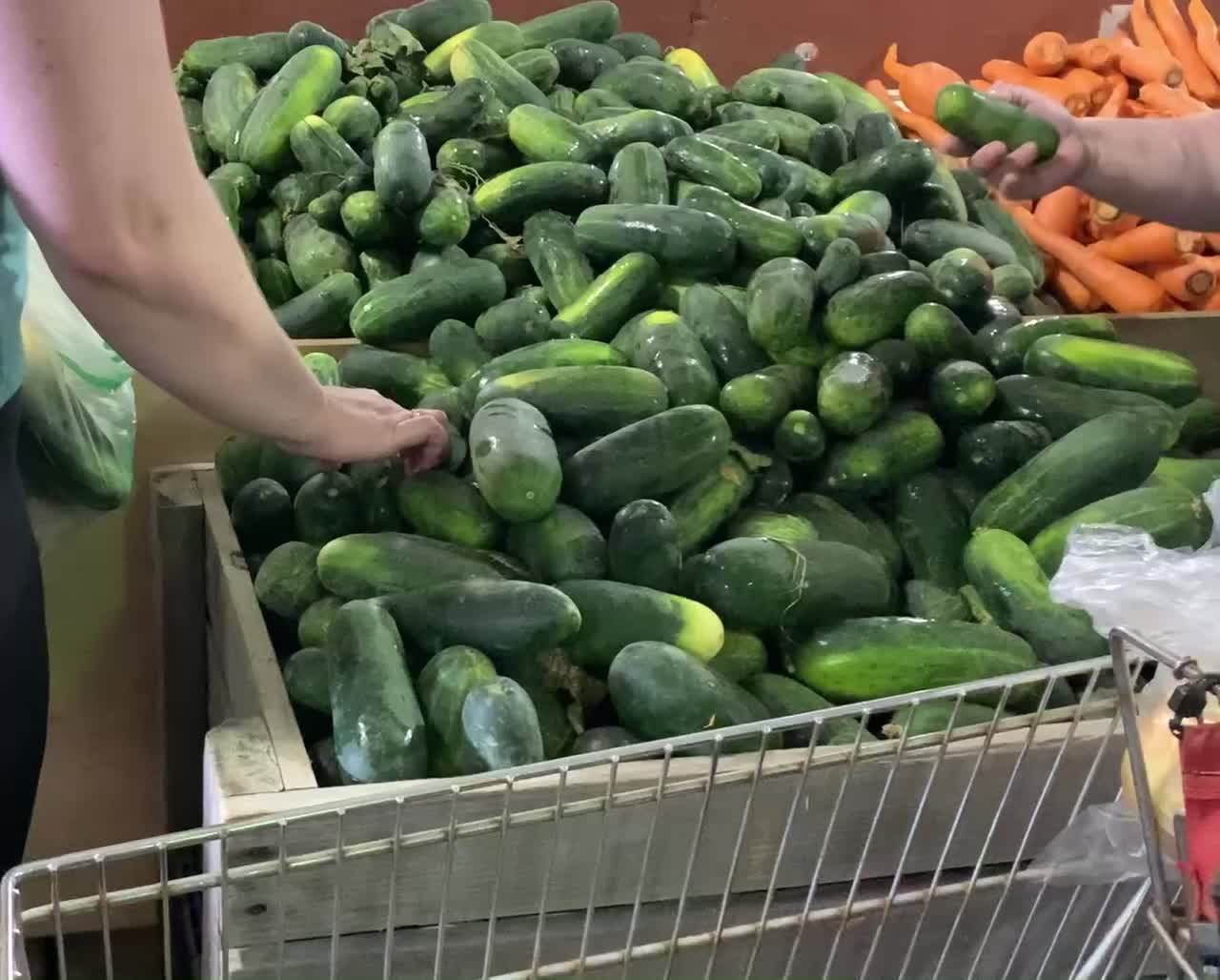 PREPPING FOR HOMEMADE PICKLES!