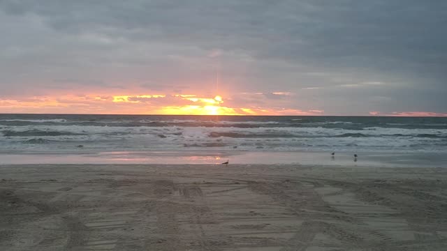 Sunrise on the seashore