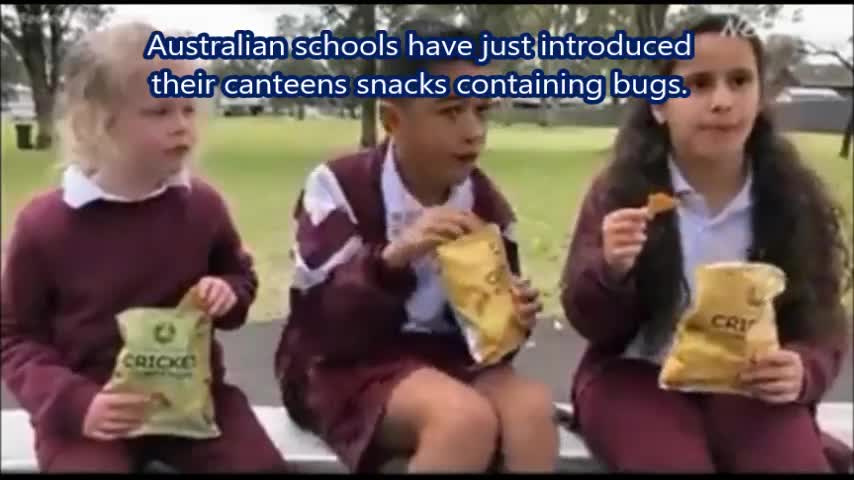 Australian schools have just introduced their canteens snacks containing bugs.