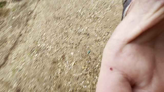 Conceal Carry Practice