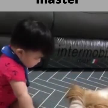 a dog loving its little master