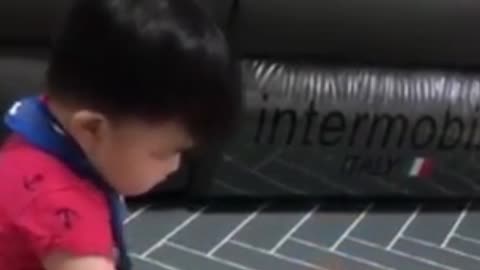 a dog loving its little master