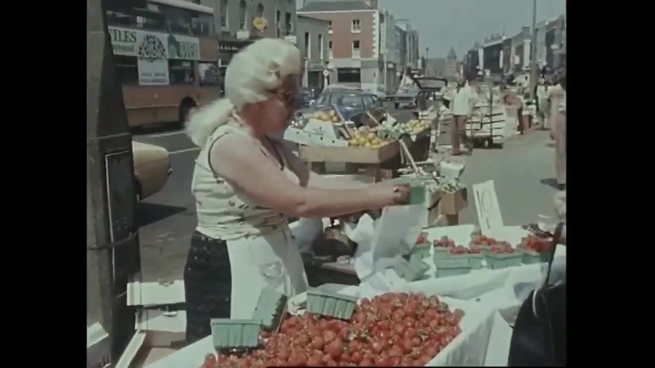 The 1976 Heatwave (Ireland)