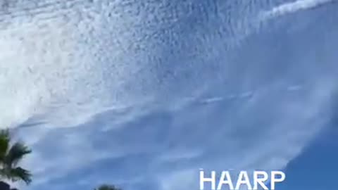 Haarp...