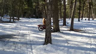 Riding Honda CT110 in snow