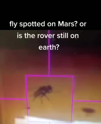 Expediente X - Mosca en Marte??