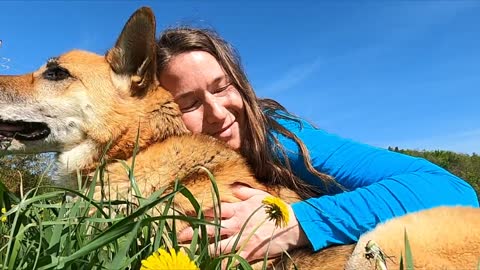 Woman Hugging A Dog