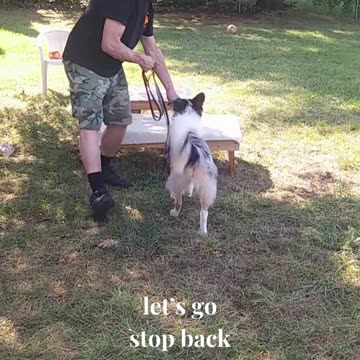 Ruff Cut PodCast Leash Handling part 1 cut g