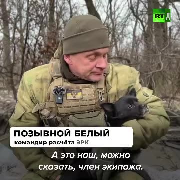 Жужик — настоящий член экипажа ЗРК «Стрела-10»